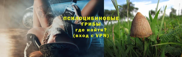 стаф Алексин