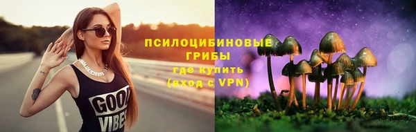 стаф Алексин