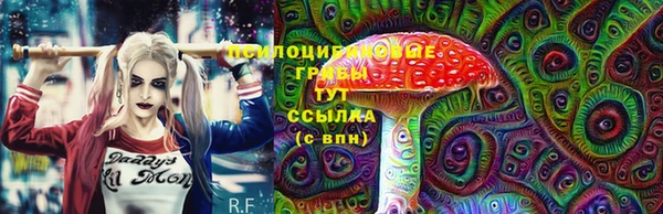 стаф Алексин
