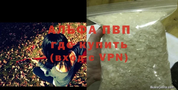 стаф Алексин