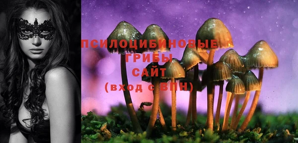 стаф Алексин