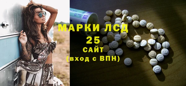 стаф Алексин