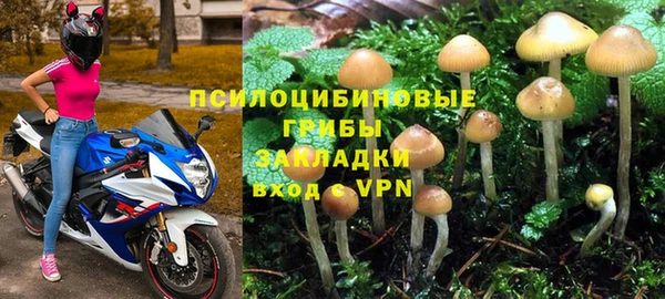 прущий лед Алексеевка