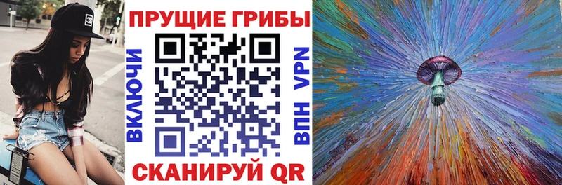 Псилоцибиновые грибы прущие грибы  Темрюк 