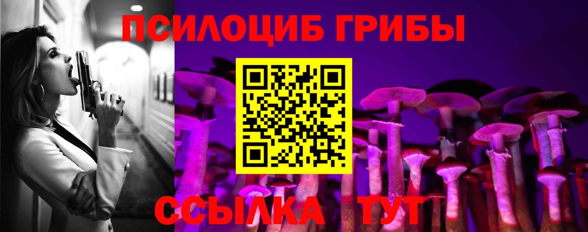 Псилоцибиновые грибы Psilocybe Темрюк